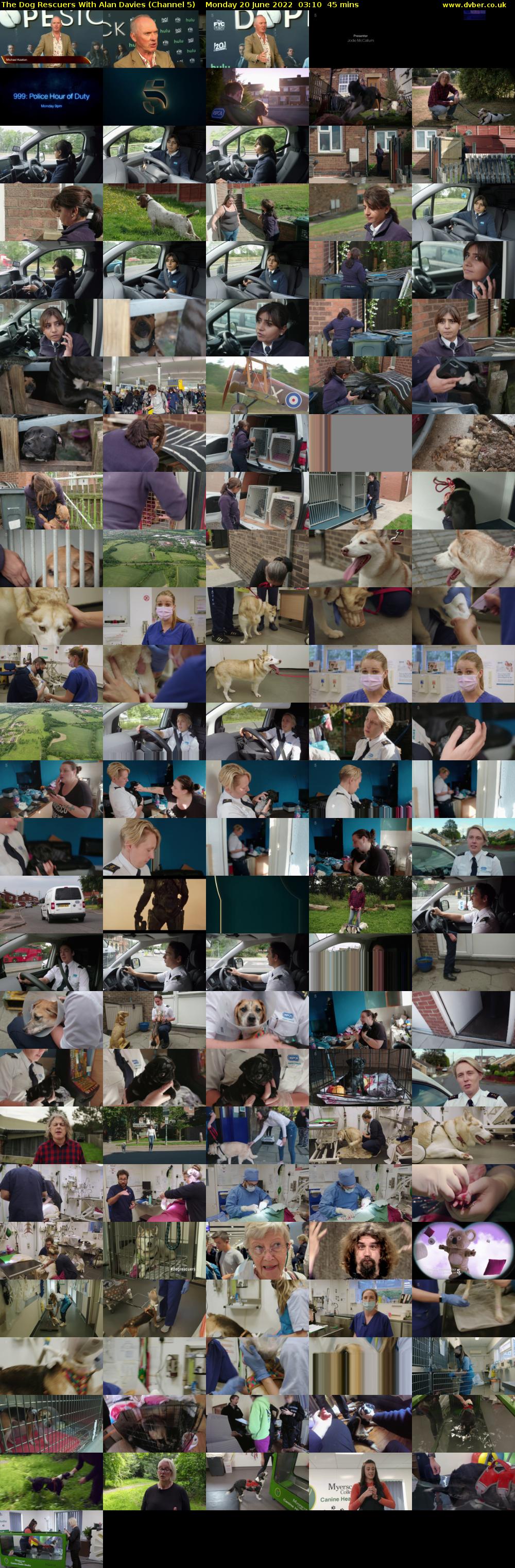The Dog Rescuers With Alan Davies (Channel 5) Monday 20 June 2022 03:10 - 03:55