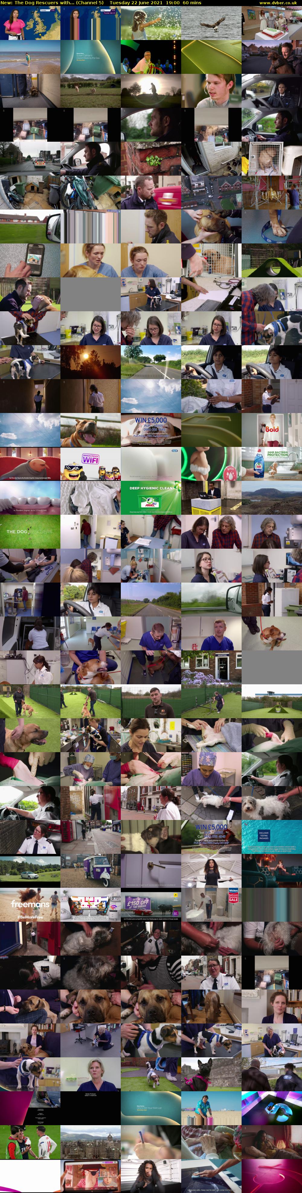 The Dog Rescuers with... (Channel 5) Tuesday 22 June 2021 19:00 - 20:00