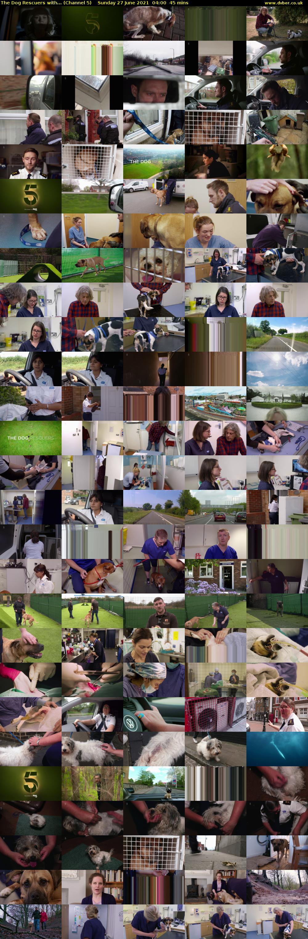 The Dog Rescuers with... (Channel 5) Sunday 27 June 2021 04:00 - 04:45