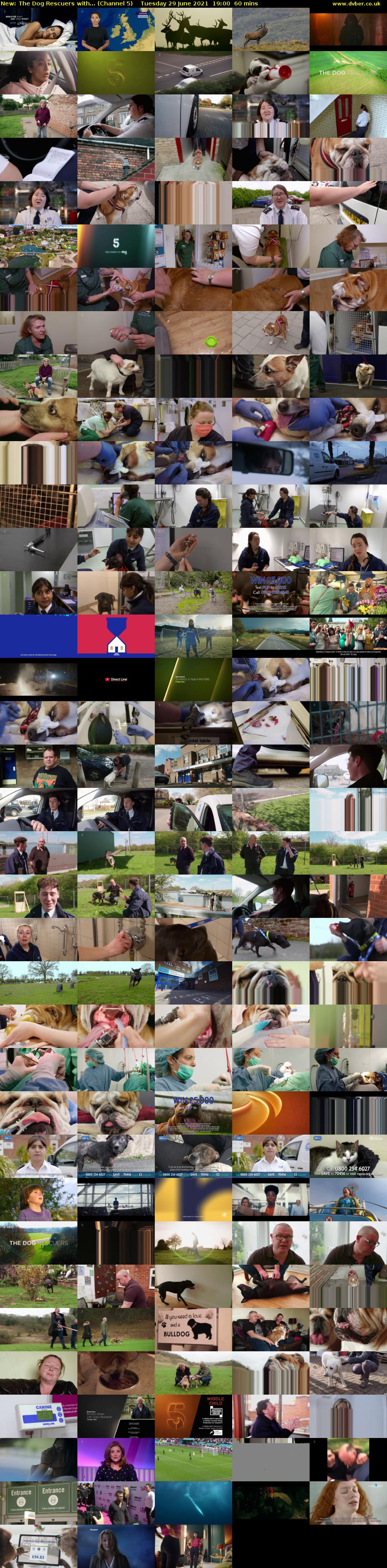 The Dog Rescuers with... (Channel 5) Tuesday 29 June 2021 19:00 - 20:00