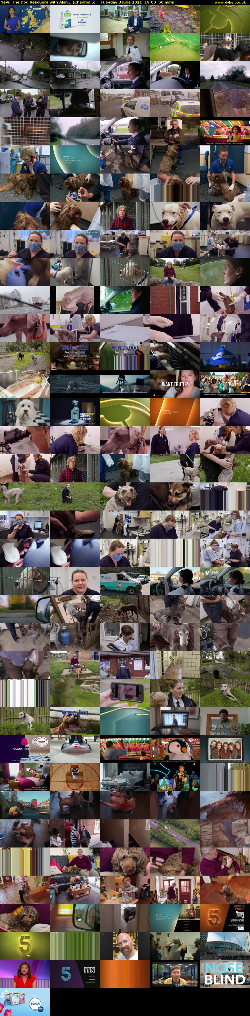 The Dog Rescuers with Alan... (Channel 5) Tuesday 8 June 2021 19:00 - 20:00