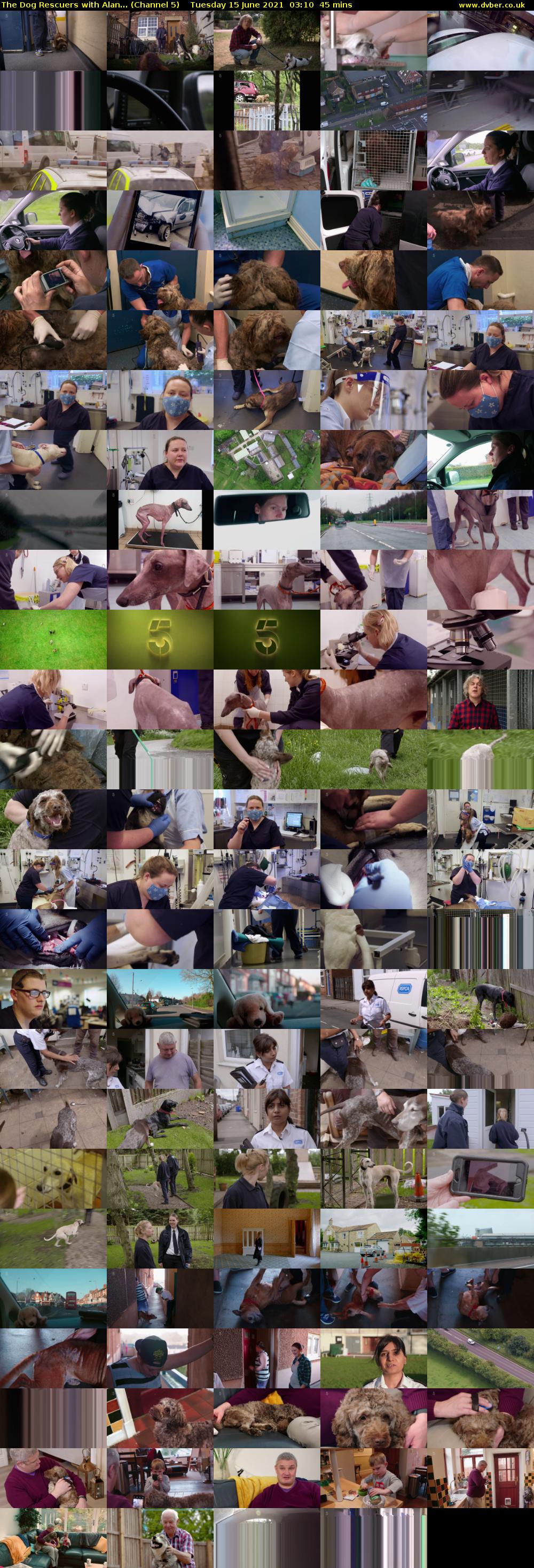 The Dog Rescuers with Alan... (Channel 5) Tuesday 15 June 2021 03:10 - 03:55