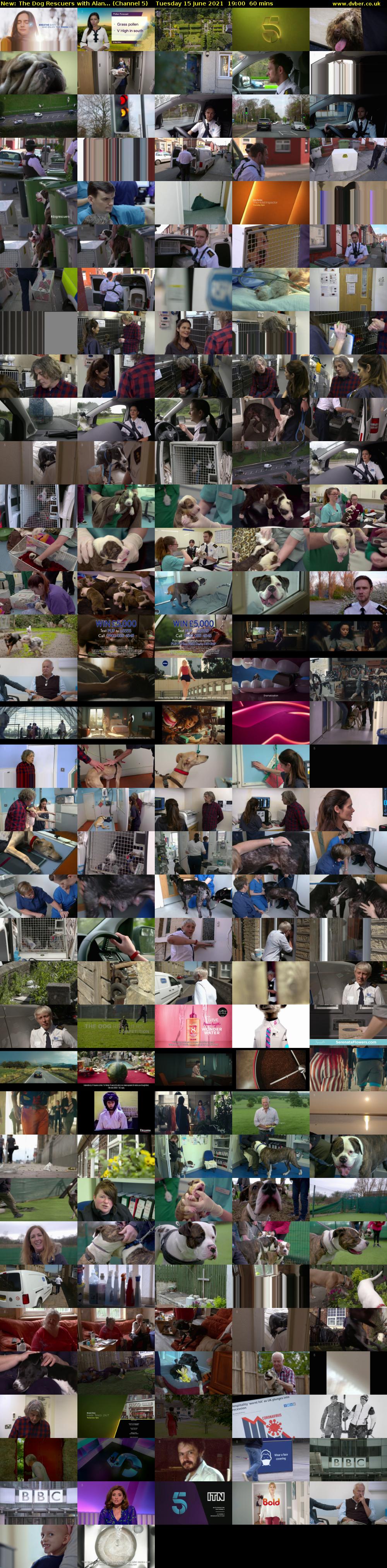 The Dog Rescuers with Alan... (Channel 5) Tuesday 15 June 2021 19:00 - 20:00