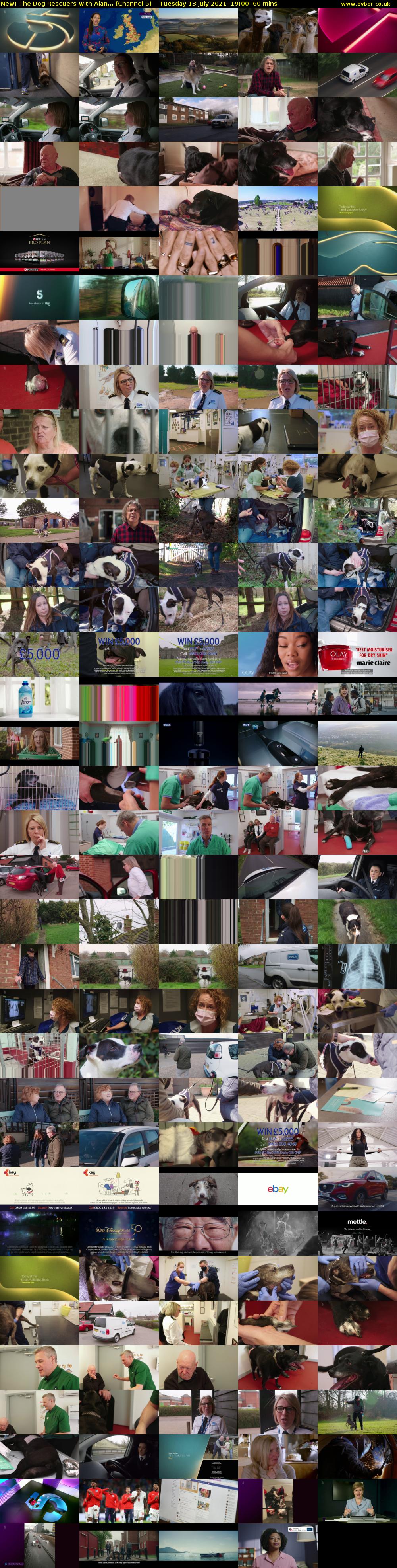 The Dog Rescuers with Alan... (Channel 5) Tuesday 13 July 2021 19:00 - 20:00