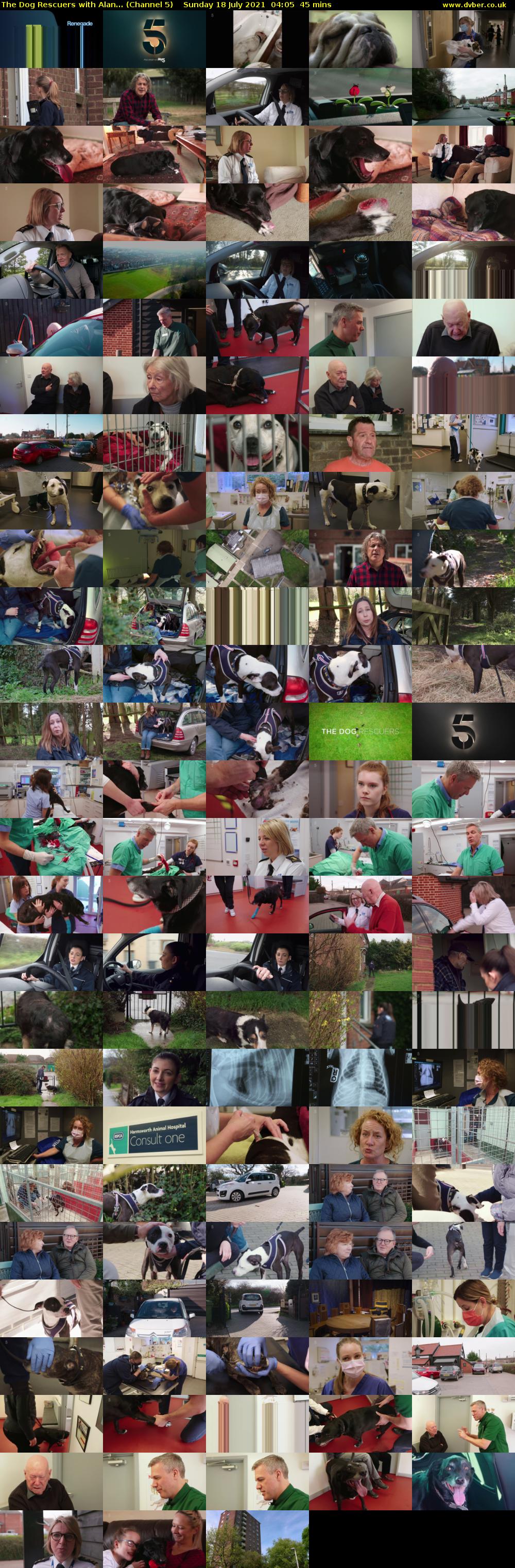 The Dog Rescuers with Alan... (Channel 5) Sunday 18 July 2021 04:05 - 04:50
