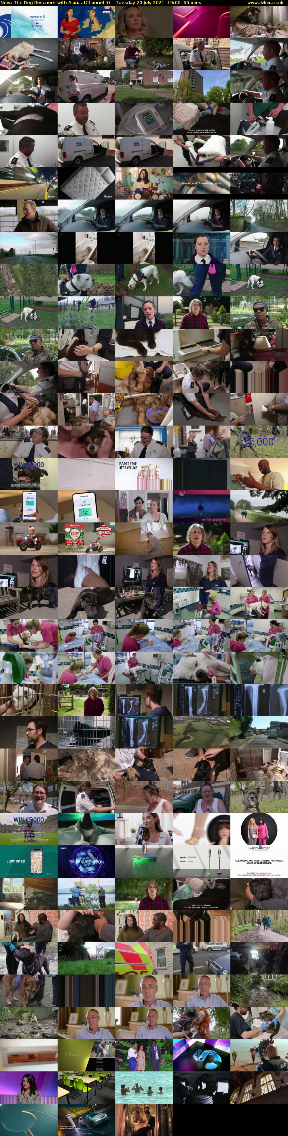 The Dog Rescuers with Alan... (Channel 5) Tuesday 20 July 2021 19:00 - 20:00