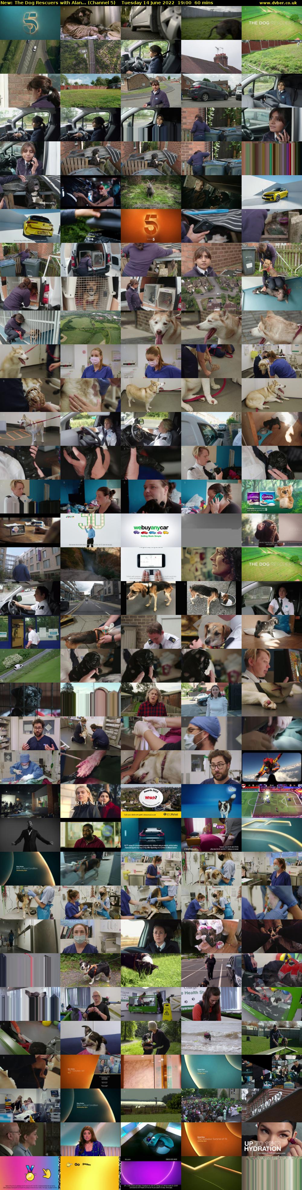 The Dog Rescuers with Alan... (Channel 5) Tuesday 14 June 2022 19:00 - 20:00
