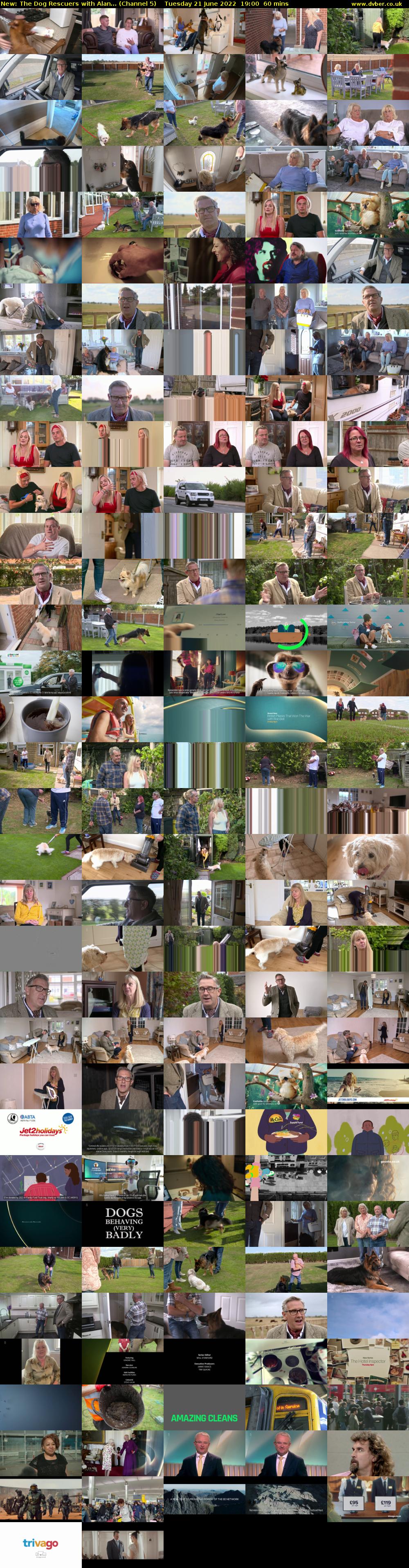 The Dog Rescuers with Alan... (Channel 5) Tuesday 21 June 2022 19:00 - 20:00