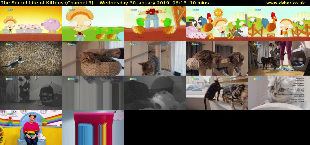The Secret Life of Kittens (Channel 5) Wednesday 30 January 2019 06:15 - 06:25