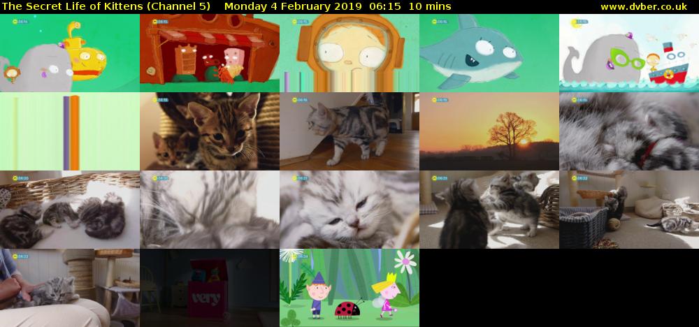 The Secret Life of Kittens (Channel 5) Monday 4 February 2019 06:15 - 06:25