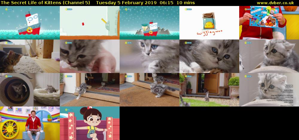 The Secret Life of Kittens (Channel 5) Tuesday 5 February 2019 06:15 - 06:25