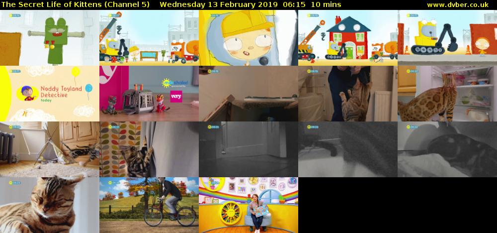 The Secret Life of Kittens (Channel 5) Wednesday 13 February 2019 06:15 - 06:25
