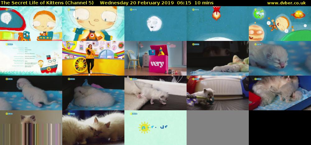 The Secret Life of Kittens (Channel 5) Wednesday 20 February 2019 06:15 - 06:25