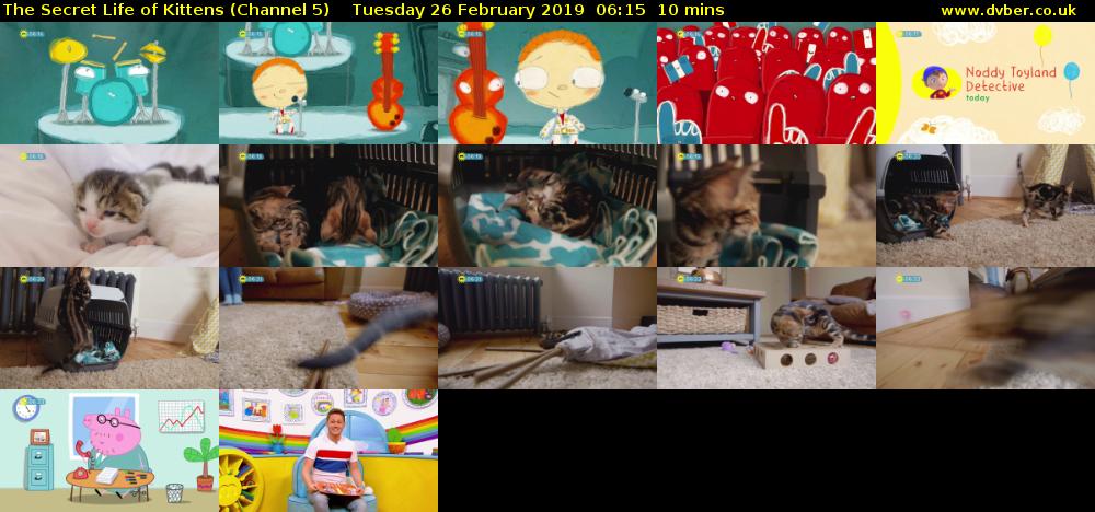 The Secret Life of Kittens (Channel 5) Tuesday 26 February 2019 06:15 - 06:25