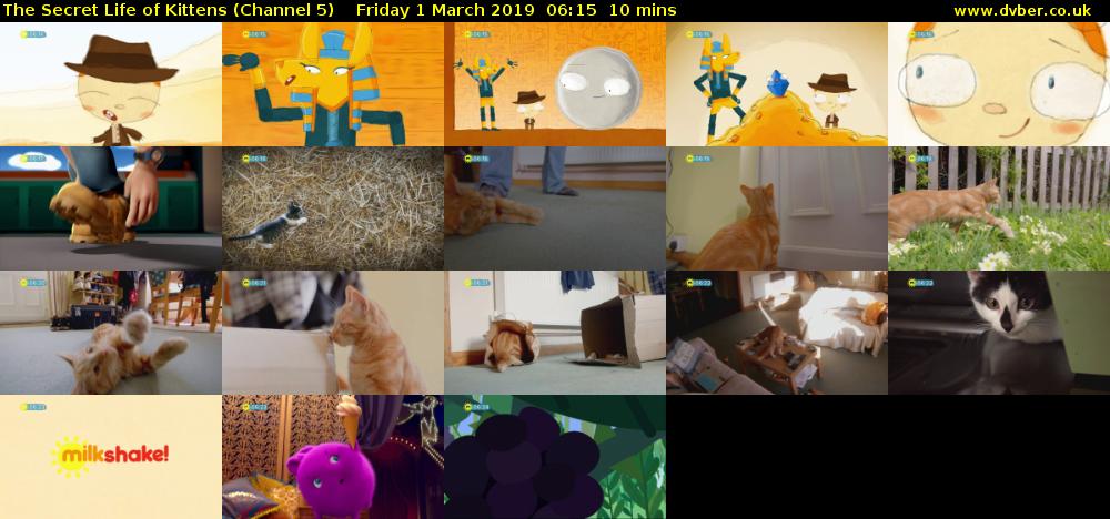 The Secret Life of Kittens (Channel 5) Friday 1 March 2019 06:15 - 06:25