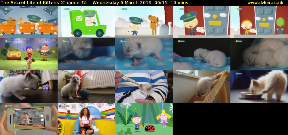 The Secret Life of Kittens (Channel 5) Wednesday 6 March 2019 06:15 - 06:25