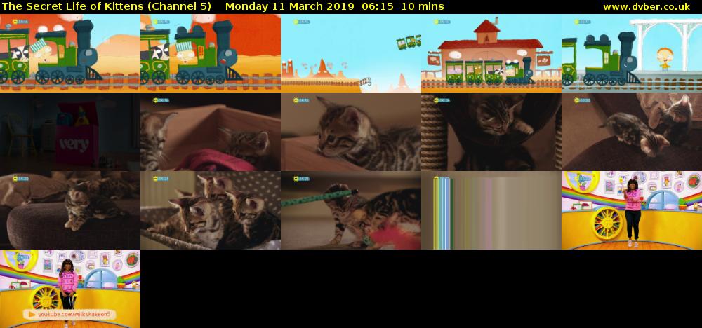 The Secret Life of Kittens (Channel 5) Monday 11 March 2019 06:15 - 06:25