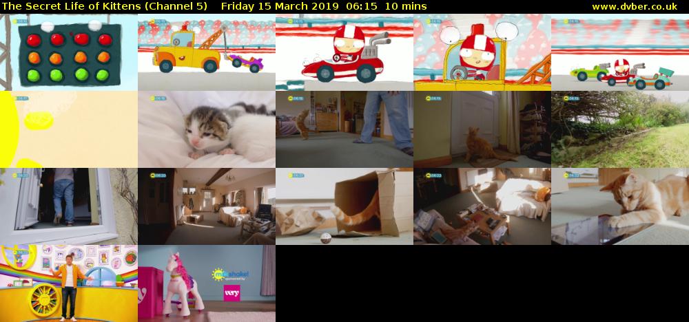 The Secret Life of Kittens (Channel 5) Friday 15 March 2019 06:15 - 06:25