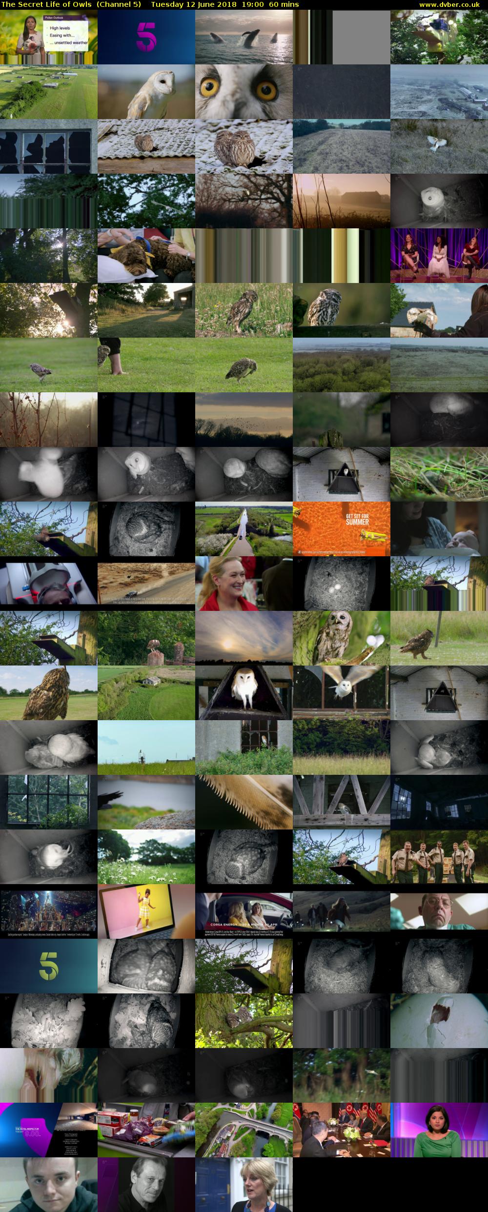 The Secret Life of Owls  (Channel 5) Tuesday 12 June 2018 19:00 - 20:00