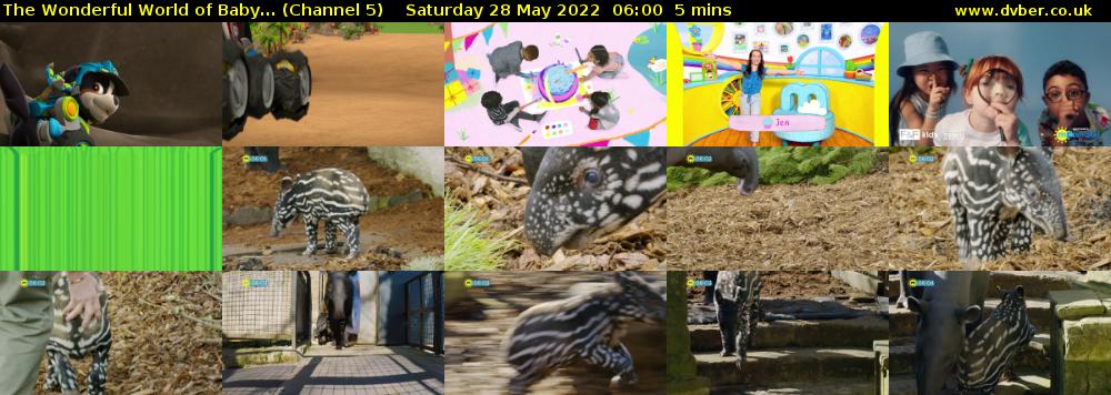 The Wonderful World of Baby... (Channel 5) Saturday 28 May 2022 06:00 - 06:05