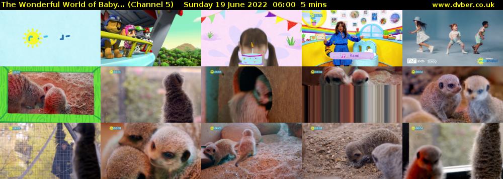 The Wonderful World of Baby... (Channel 5) Sunday 19 June 2022 06:00 - 06:05