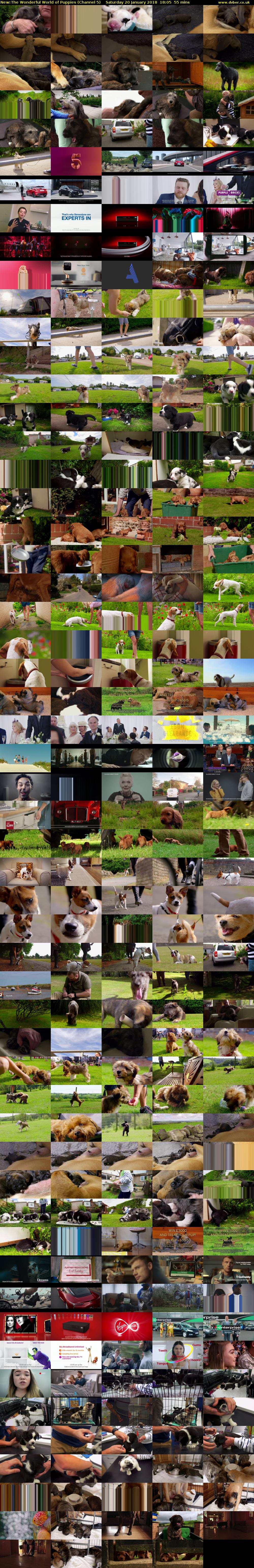 The Wonderful World of Puppies (Channel 5) Saturday 20 January 2018 18:05 - 19:00