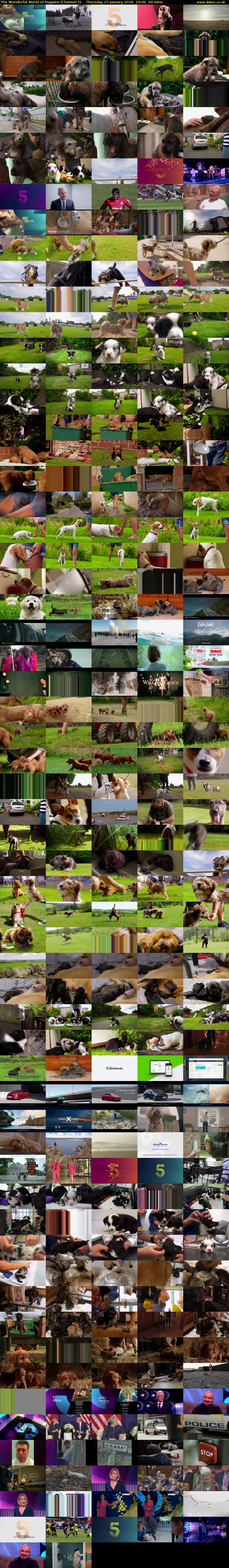 The Wonderful World of Puppies (Channel 5) Thursday 25 January 2018 19:00 - 20:00