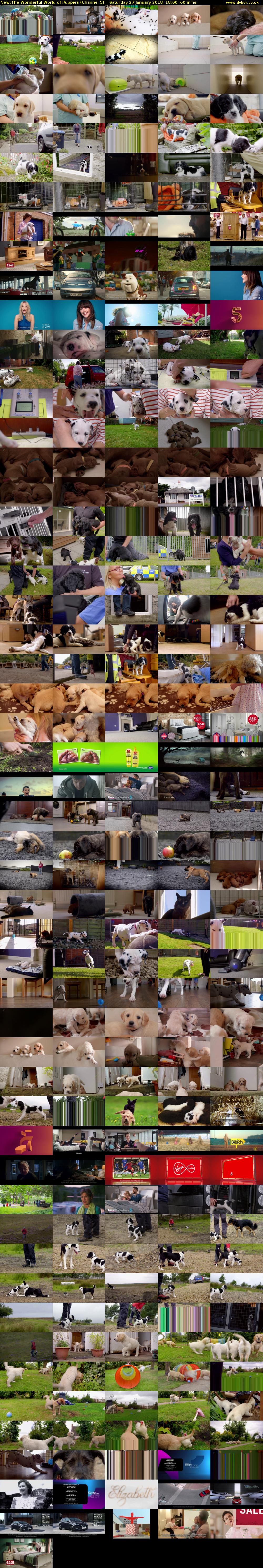 The Wonderful World of Puppies (Channel 5) Saturday 27 January 2018 18:00 - 19:00
