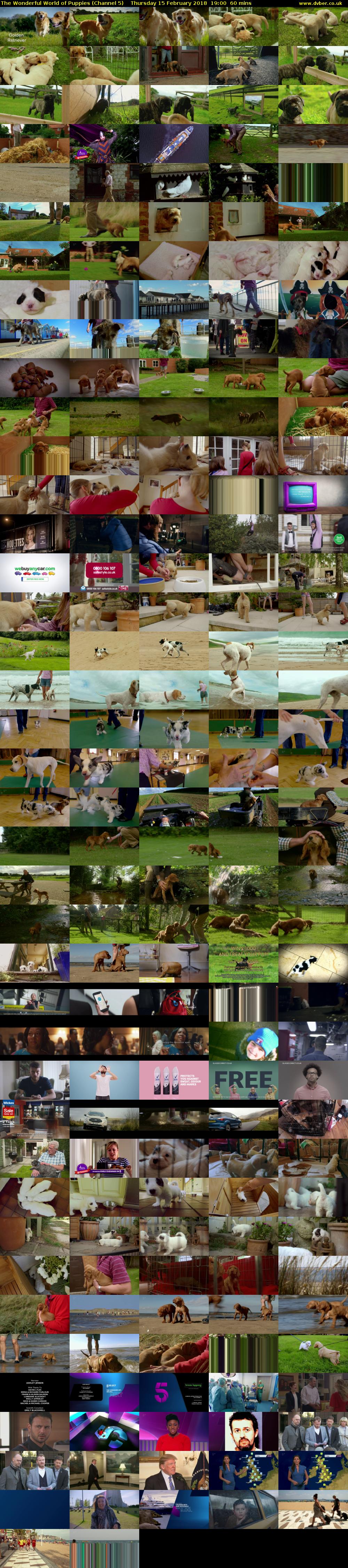 The Wonderful World of Puppies (Channel 5) Thursday 15 February 2018 19:00 - 20:00