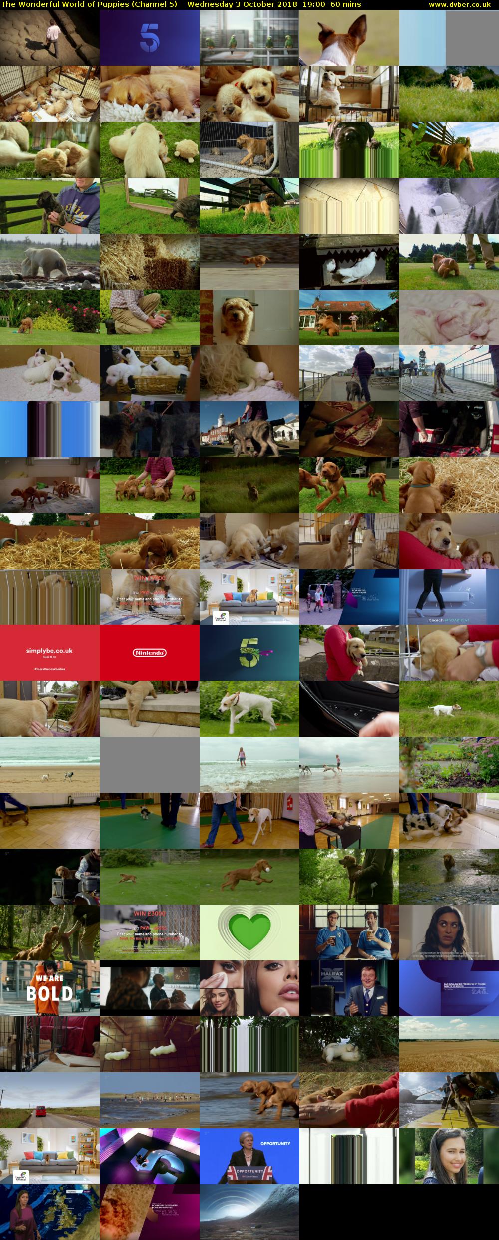 The Wonderful World of Puppies (Channel 5) Wednesday 3 October 2018 19:00 - 20:00