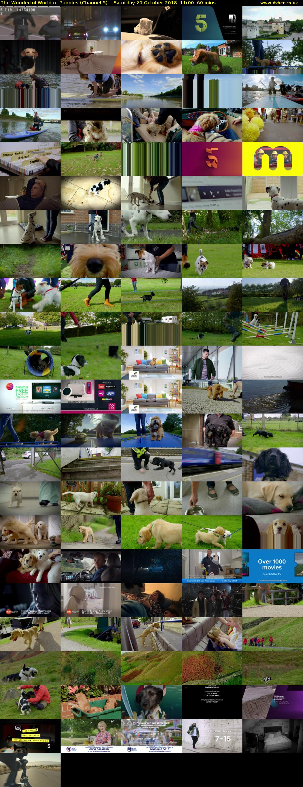 The Wonderful World of Puppies (Channel 5) Saturday 20 October 2018 11:00 - 12:00