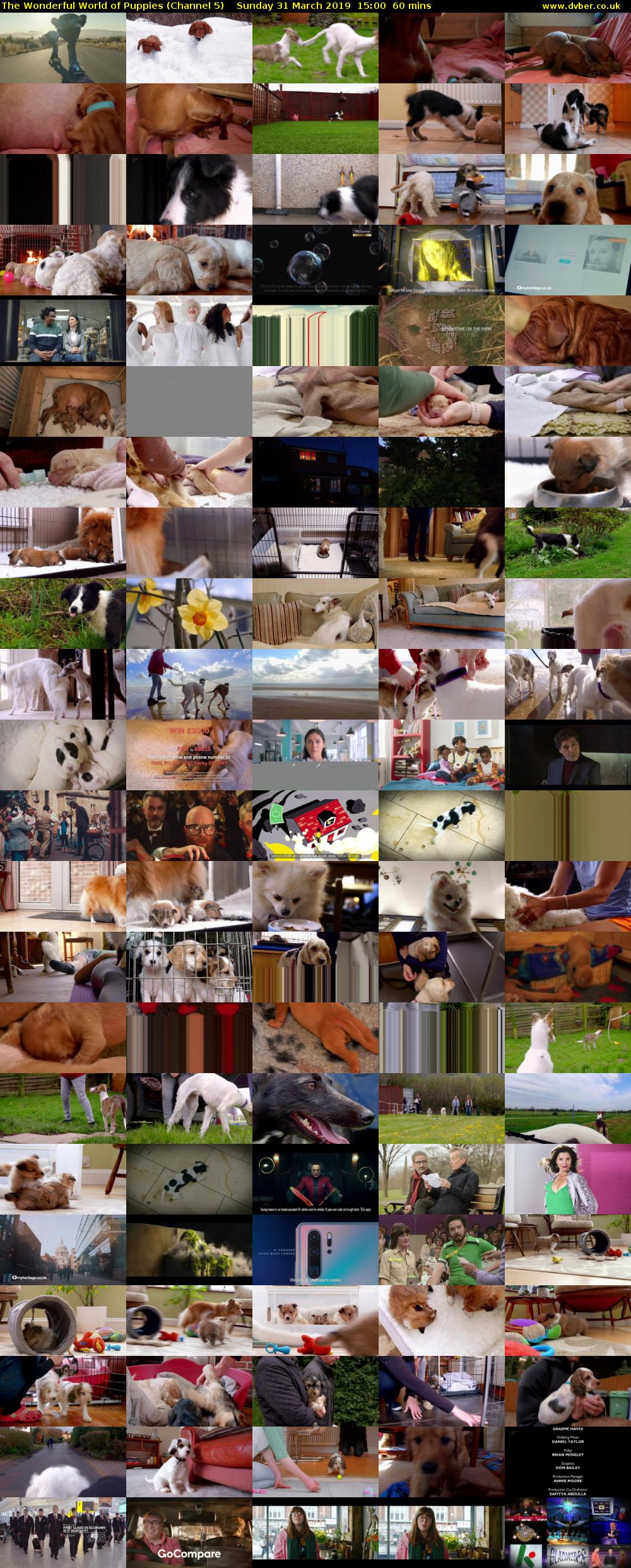 The Wonderful World of Puppies (Channel 5) Sunday 31 March 2019 15:00 - 16:00