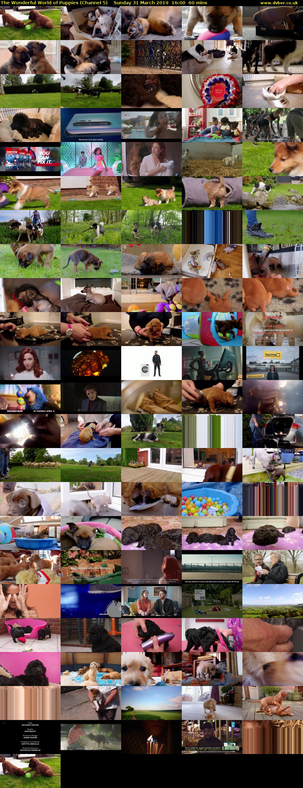 The Wonderful World of Puppies (Channel 5) Sunday 31 March 2019 16:00 - 17:00