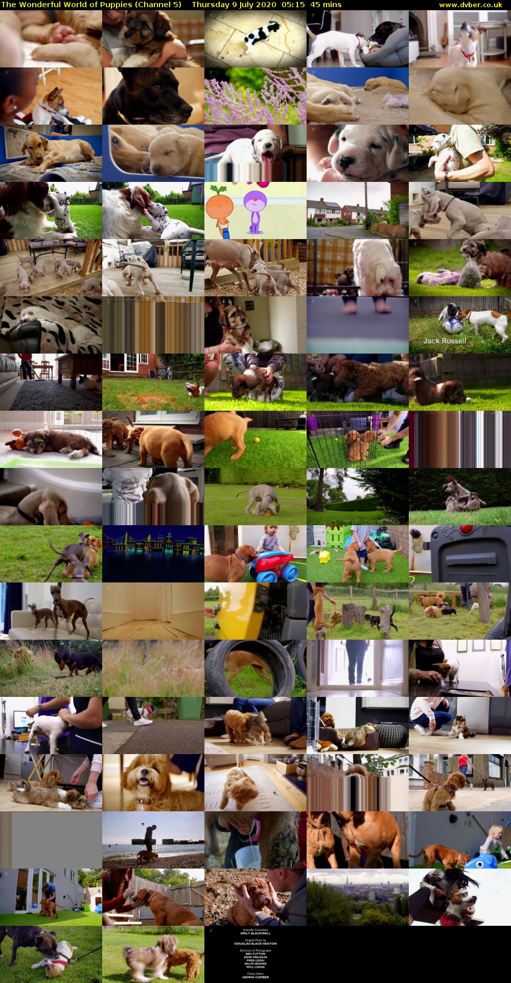 The Wonderful World of Puppies (Channel 5) Thursday 9 July 2020 05:15 - 06:00