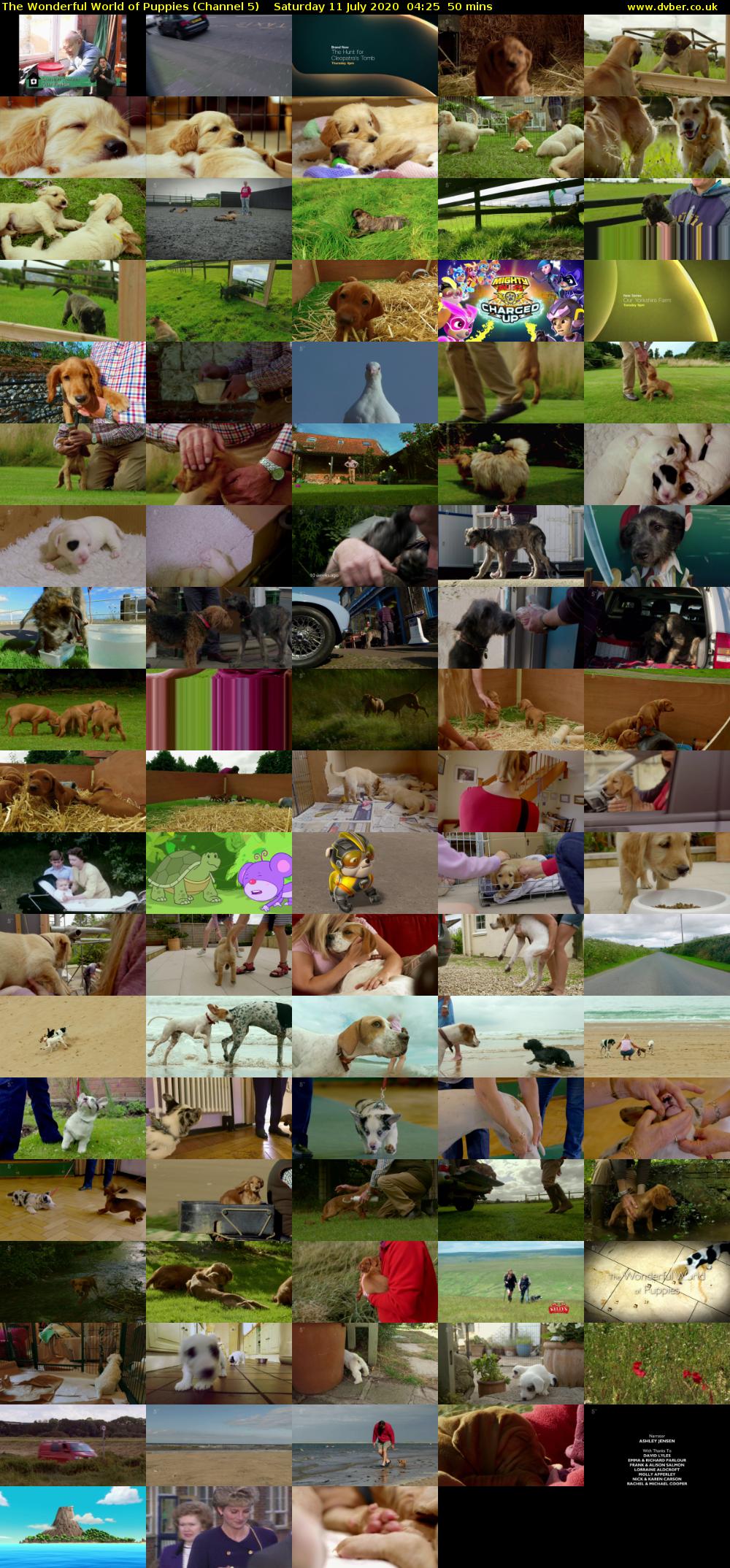 The Wonderful World of Puppies (Channel 5) Saturday 11 July 2020 04:25 - 05:15