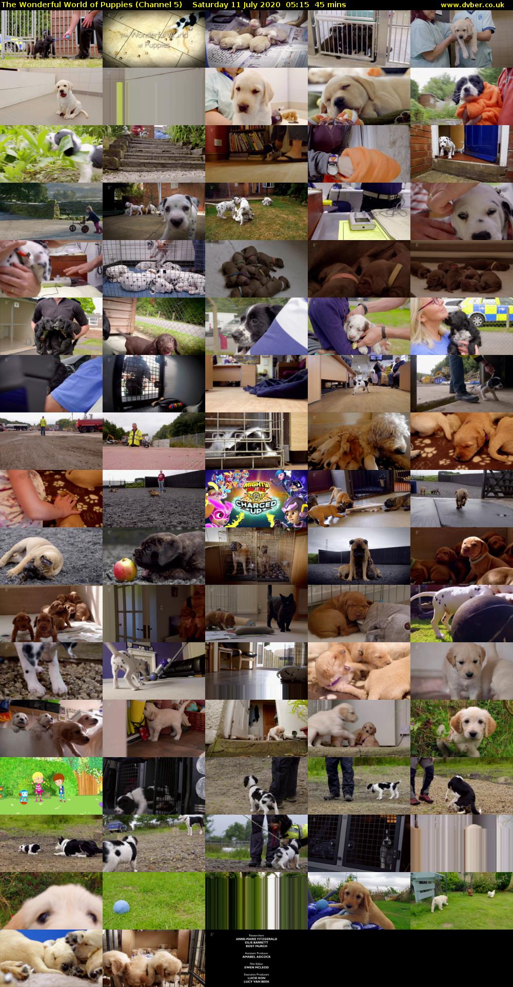 The Wonderful World of Puppies (Channel 5) Saturday 11 July 2020 05:15 - 06:00