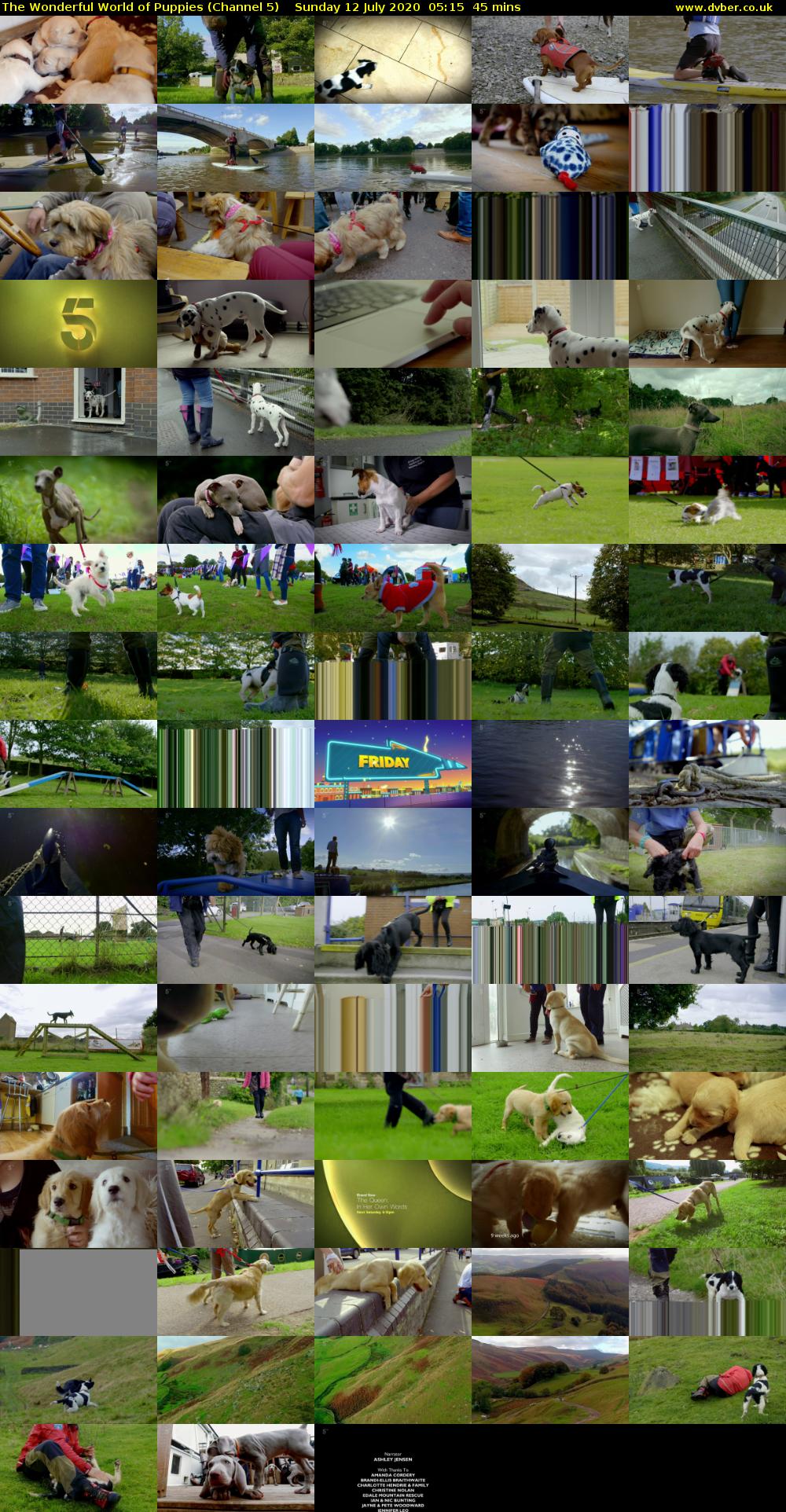 The Wonderful World of Puppies (Channel 5) Sunday 12 July 2020 05:15 - 06:00