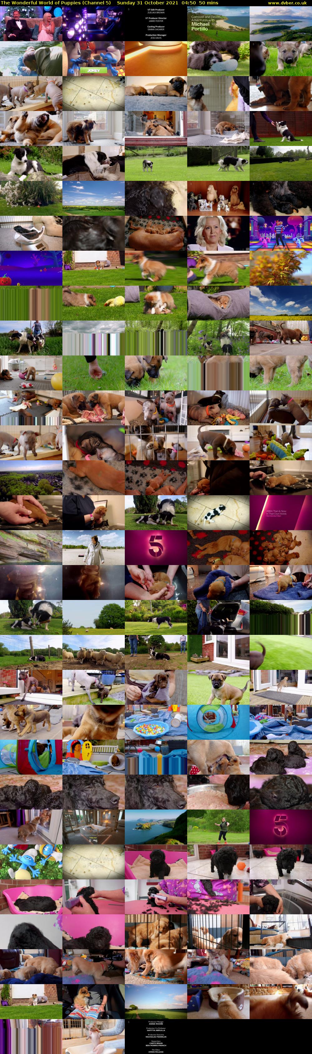 The Wonderful World of Puppies (Channel 5) Sunday 31 October 2021 04:50 - 05:40