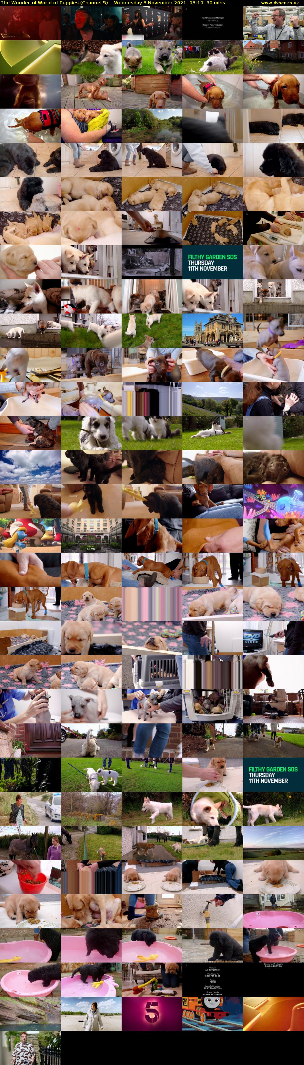 The Wonderful World of Puppies (Channel 5) Wednesday 3 November 2021 03:10 - 04:00