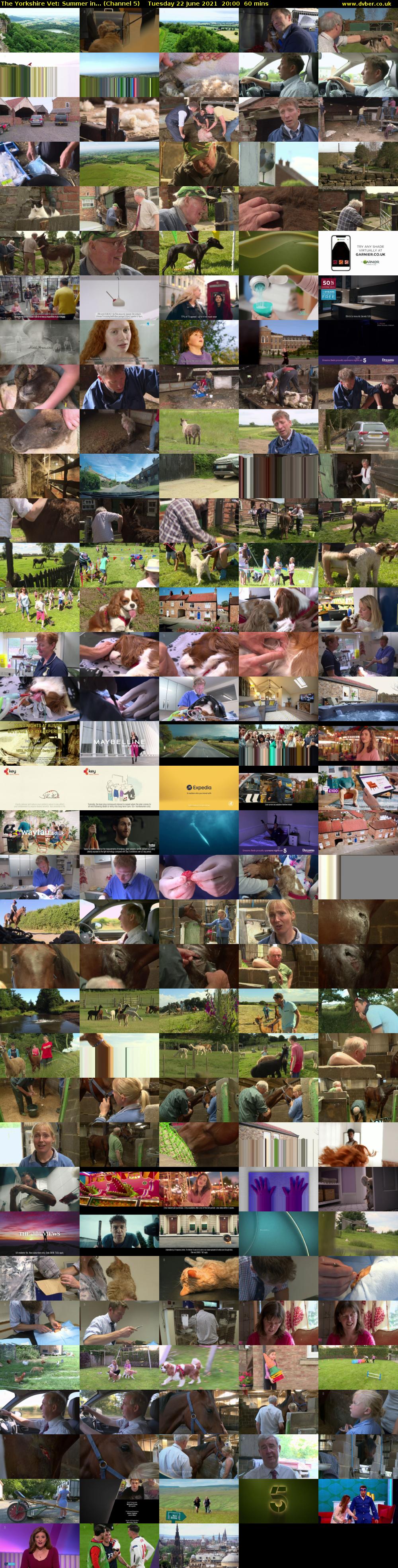 The Yorkshire Vet: Summer in... (Channel 5) Tuesday 22 June 2021 20:00 - 21:00