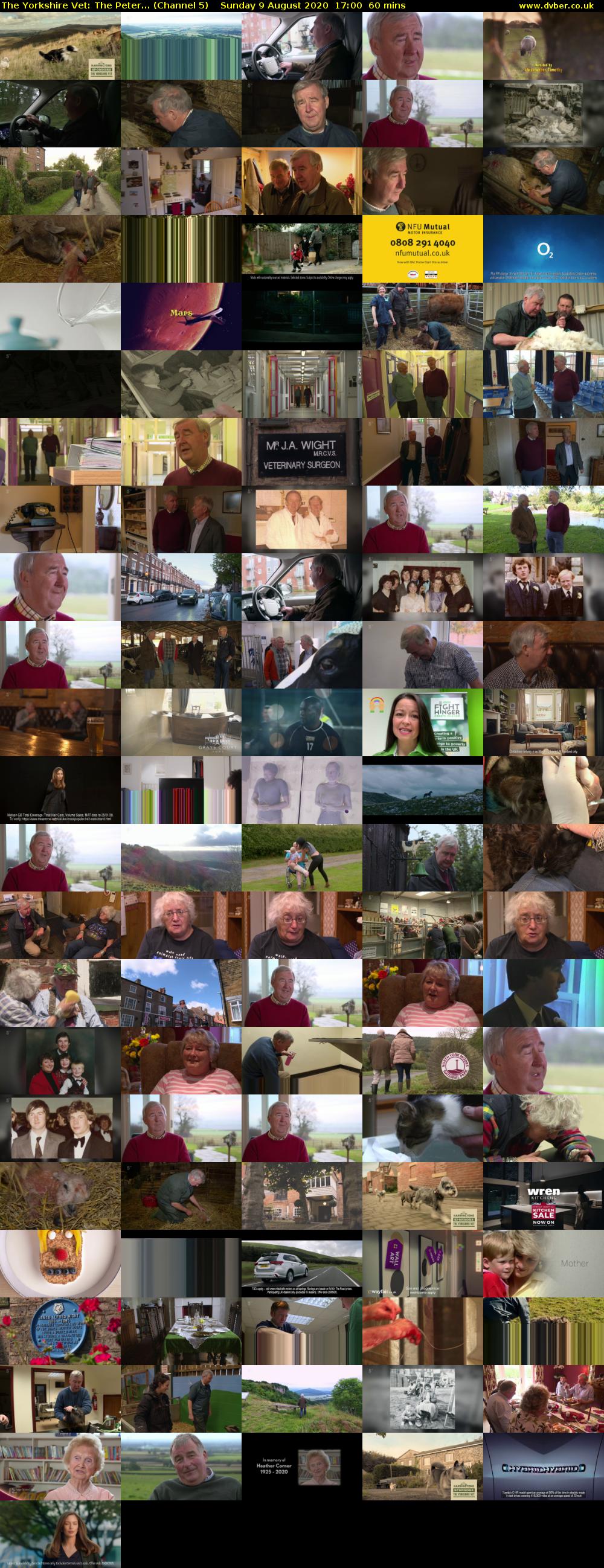 The Yorkshire Vet: The Peter... (Channel 5) Sunday 9 August 2020 17:00 - 18:00
