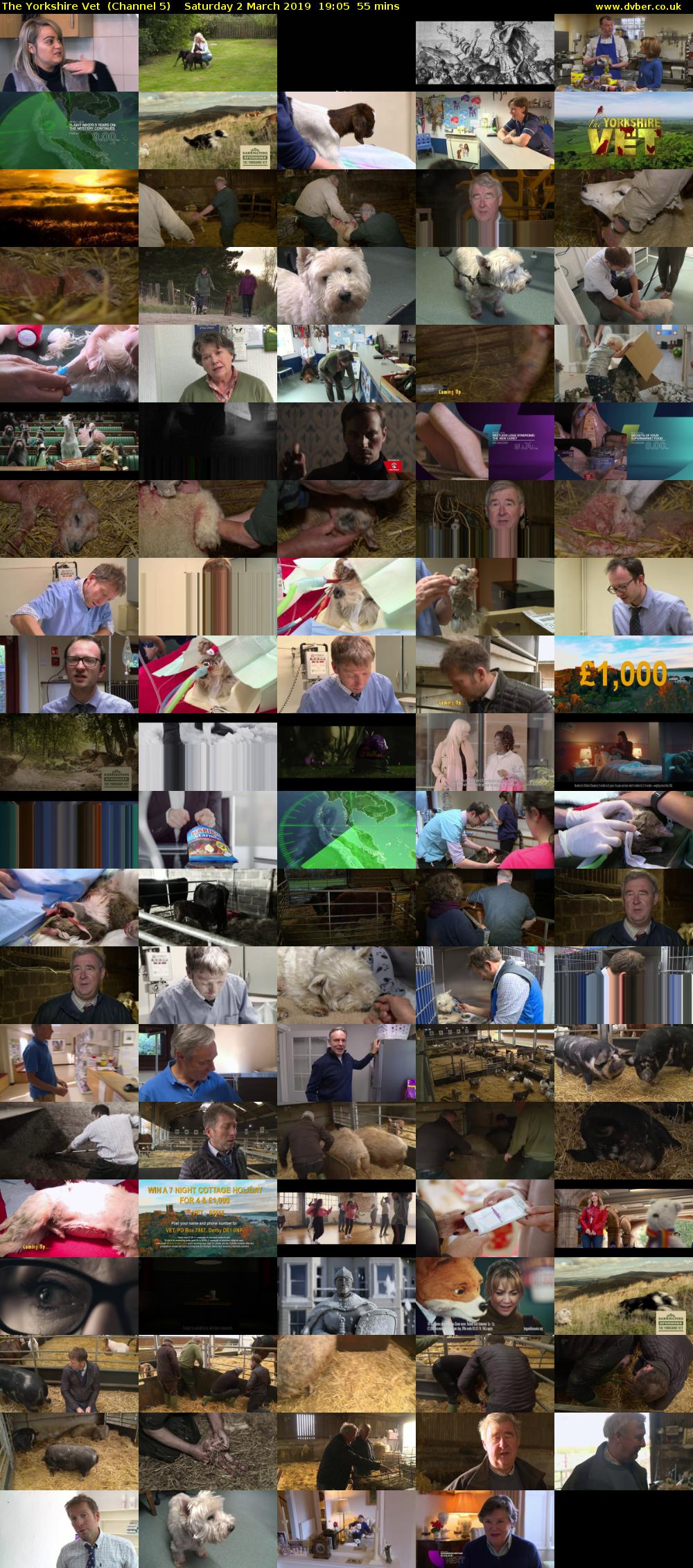 The Yorkshire Vet  (Channel 5) Saturday 2 March 2019 19:05 - 20:00