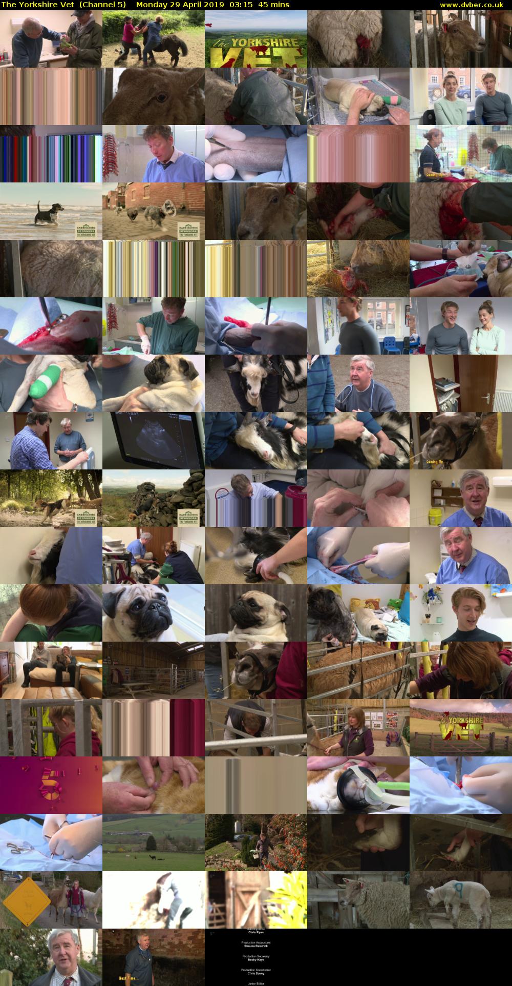 The Yorkshire Vet  (Channel 5) Monday 29 April 2019 03:15 - 04:00
