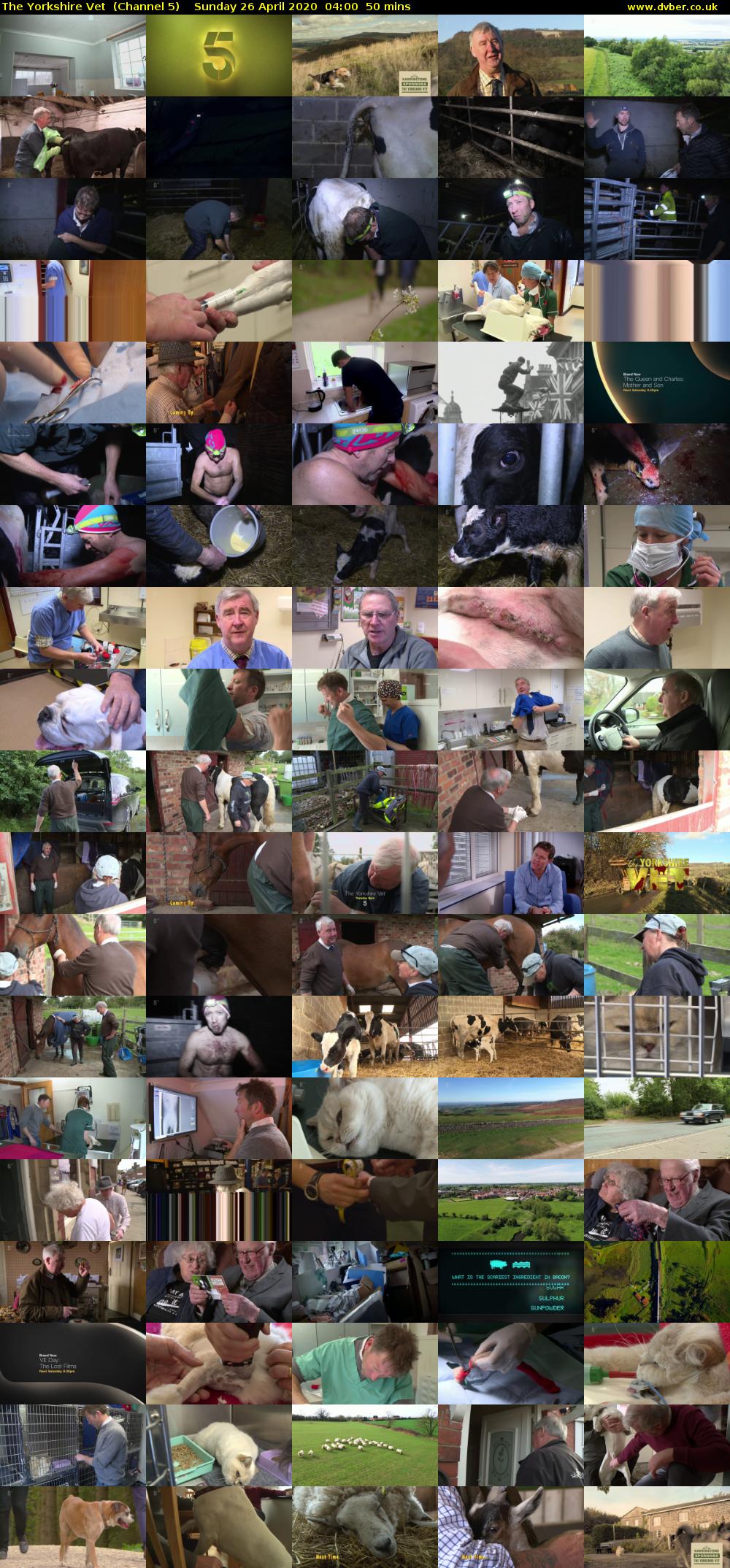 The Yorkshire Vet  (Channel 5) Sunday 26 April 2020 04:00 - 04:50