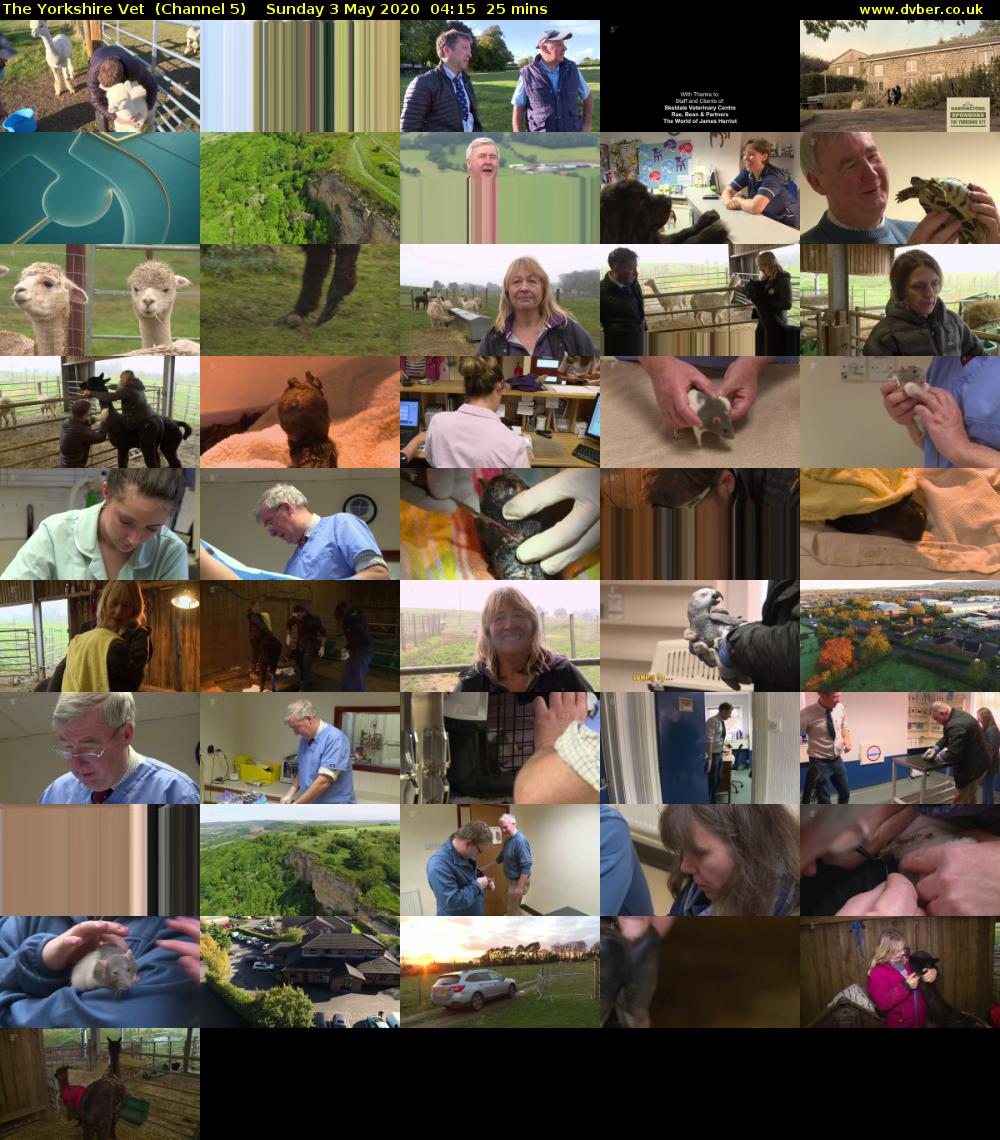The Yorkshire Vet  (Channel 5) Sunday 3 May 2020 04:15 - 04:40