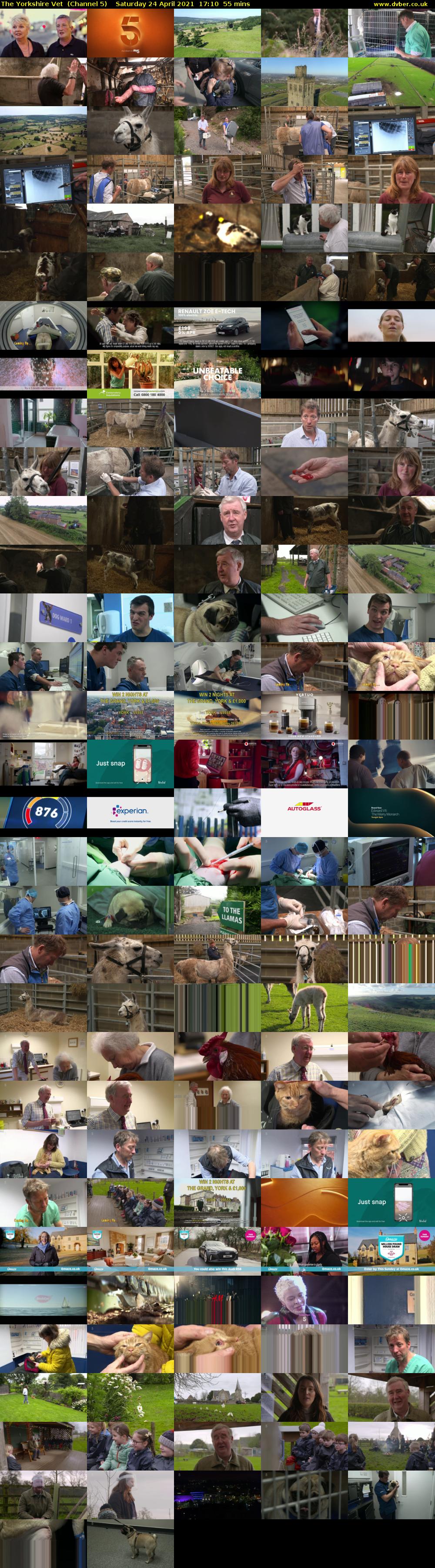 The Yorkshire Vet  (Channel 5) Saturday 24 April 2021 17:10 - 18:05