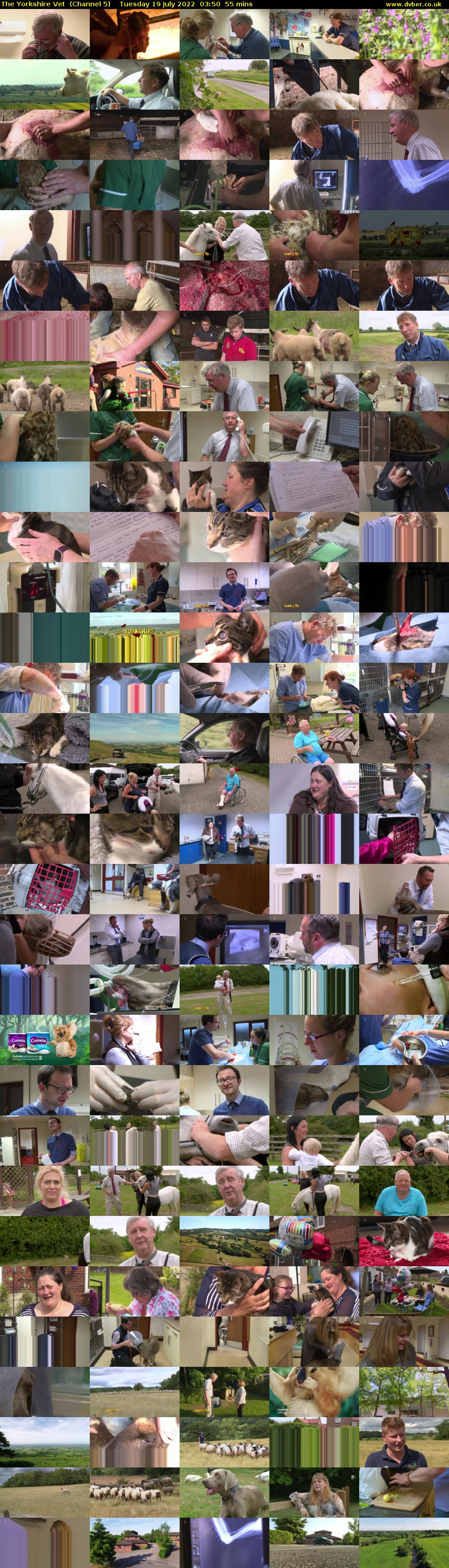 The Yorkshire Vet  (Channel 5) Tuesday 19 July 2022 03:50 - 04:45