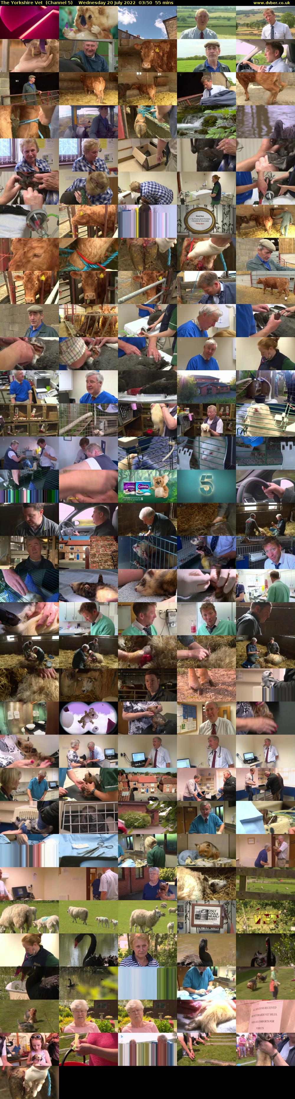 The Yorkshire Vet  (Channel 5) Wednesday 20 July 2022 03:50 - 04:45