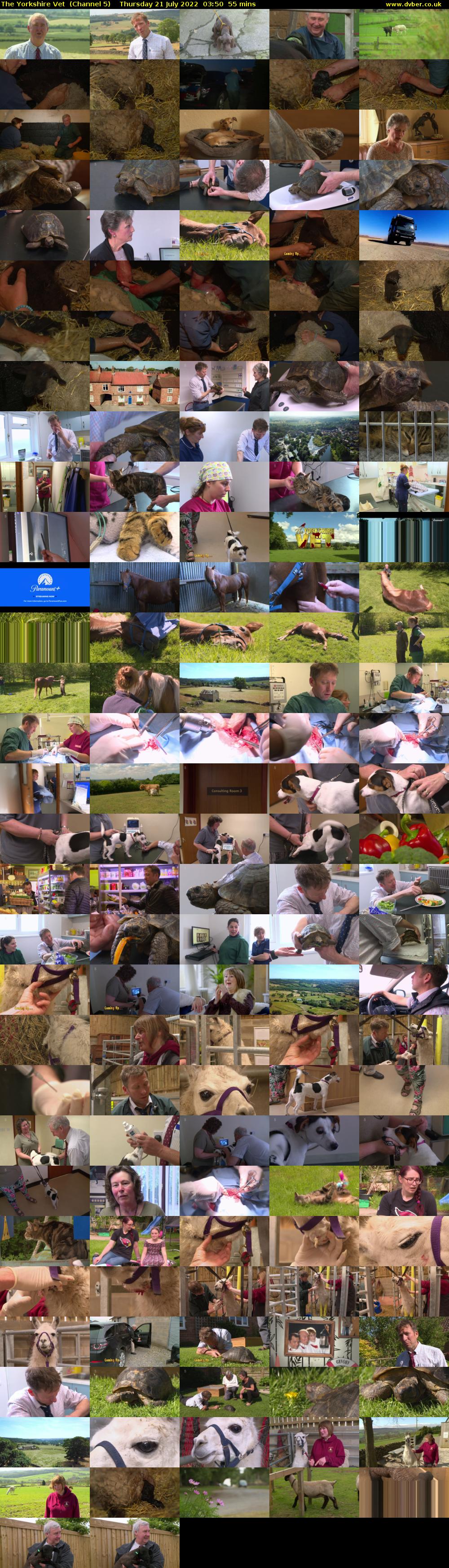 The Yorkshire Vet  (Channel 5) Thursday 21 July 2022 03:50 - 04:45