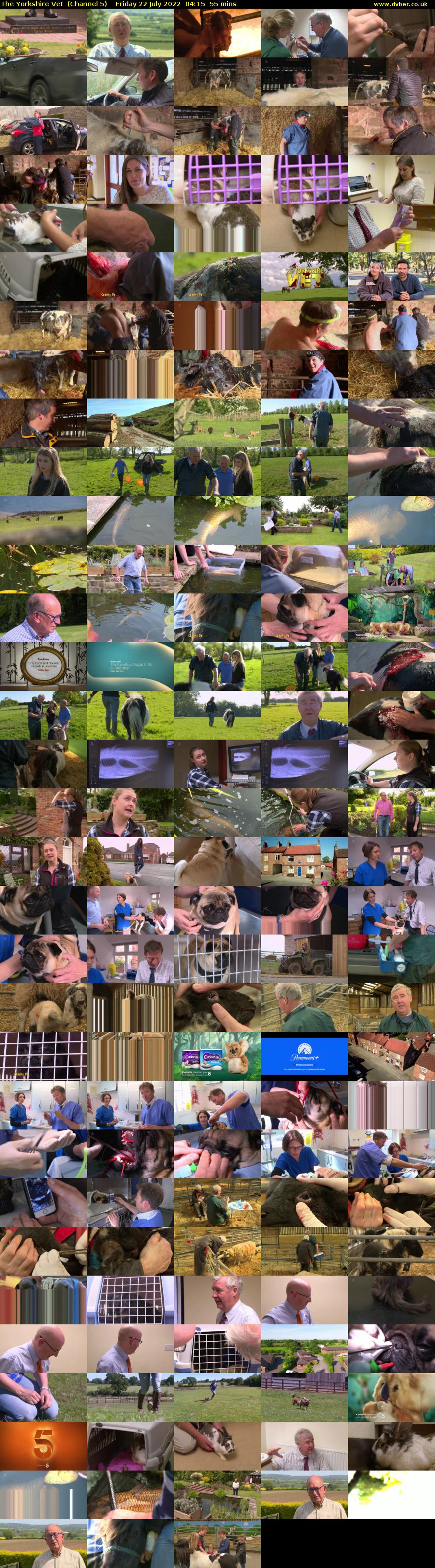 The Yorkshire Vet  (Channel 5) Friday 22 July 2022 04:15 - 05:10